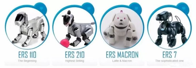 “人不如狗”？當寵物市場超越婚介市場，我們該如何看待情感消費的變遷